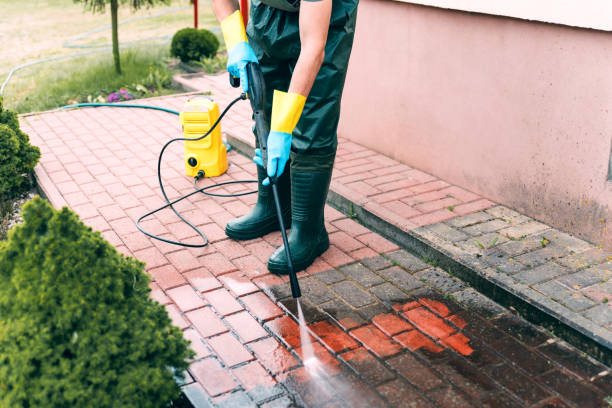 Best Driveway Pressure Washing  in Seco Mines, TX